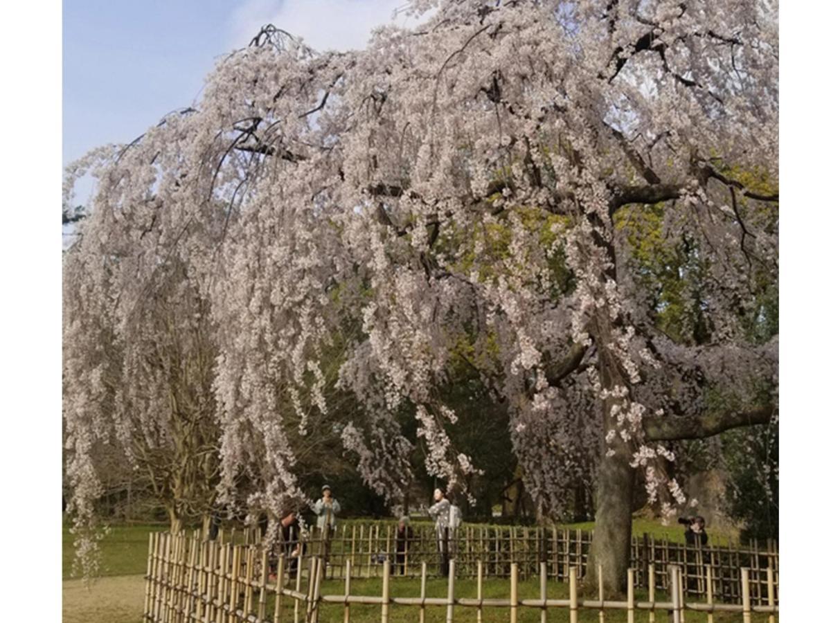 Kasuian Villa Kyoto Buitenkant foto